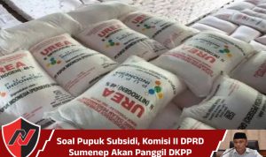 Soal Pupuk Subsidi, Komisi II DPRD Sumenep Akan Panggil DKPP
