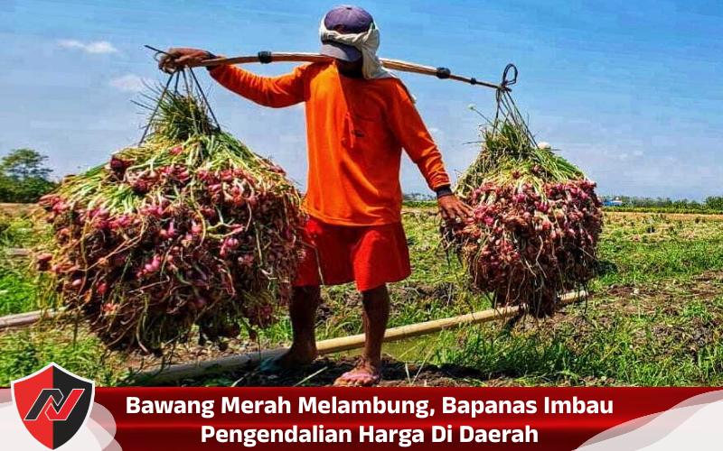 Bawang Merah Melambung, Bapanas Imbau Pengendalian Harga Di Daerah