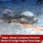 Geger, Warga Lumajang Temukan Mayat Di Sungai Regoyo Desa Bagu