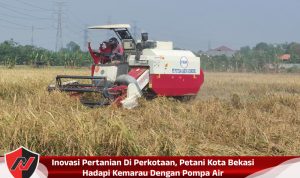 Inovasi Pertanian Di Perkotaan, Petani Kota Bekasi Hadapi Kemarau Dengan Pompa Air