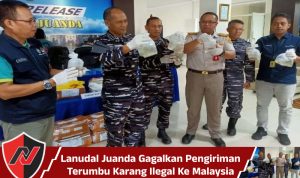 Lanudal Juanda Gagalkan Pengiriman Terumbu Karang Ilegal Ke Malaysia