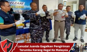 Lanudal Juanda Gagalkan Pengiriman Terumbu Karang Ilegal Ke Malaysia