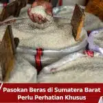 Pasokan Beras di Sumatera Barat Perlu Perhatian Khusus