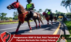 Pengamanan WWF Di Bali, Polri Terjunkan Pasukan Berkuda Dan Anjing Pelacak