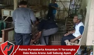 Polres Purwakarta Amankan 11 Tersangka Dala Razia Arena Judi Sabung Ayam
