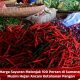 Harga Sayuran Melonjak 100 Persen di Sumenep, Musim Hujan Ancam Ketahanan Pangan