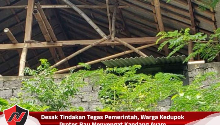 Desak Tindakan Tegas Pemerintah, Warga Kedupok Protes Bau Menyengat Kandang Ayam