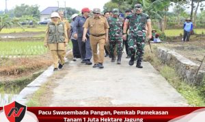 Pacu Swasembada Pangan, Pemkab Pamekasan Tanam 1 Juta Hektare Jagung