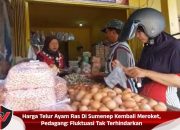Harga Telur Ayam Ras Di Sumenep Kembali Meroket, Pedagang: Fluktuasi Tak Terhindarkan