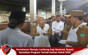 Pamekasan Menuju Lumbung Sapi Nasional, Bupati Resmikan Program Ternak Kurban Sehat 2025