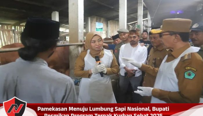 Pamekasan Menuju Lumbung Sapi Nasional, Bupati Resmikan Program Ternak Kurban Sehat 2025