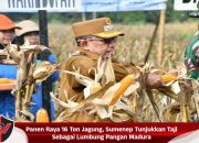 Panen Raya 16 Ton Jagung, Sumenep Tunjukkan Taji Sebagai Lumbung Pangan Madura