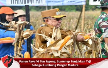 Panen Raya 16 Ton Jagung, Sumenep Tunjukkan Taji Sebagai Lumbung Pangan Madura
