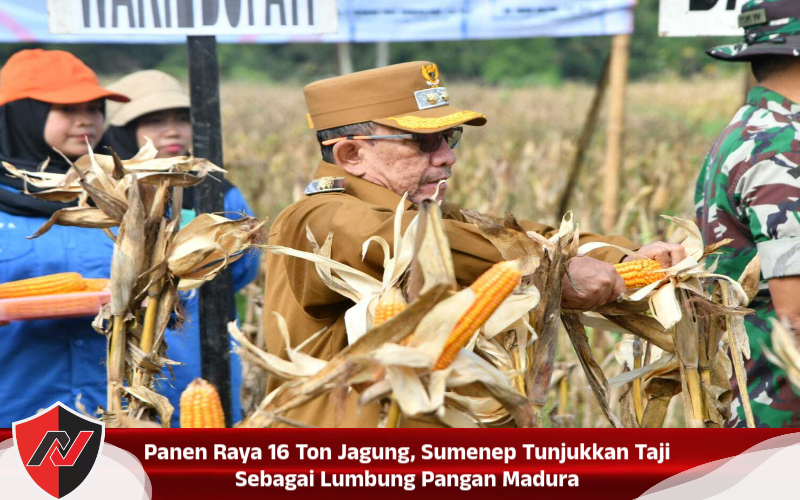 Panen Raya 16 Ton Jagung, Sumenep Tunjukkan Taji Sebagai Lumbung Pangan Madura