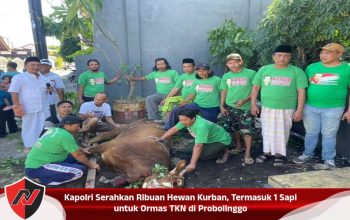 Kapolri Serahkan Ribuan Hewan Kurban, Termasuk 1 Sapi untuk Ormas TKN di Probolinggo