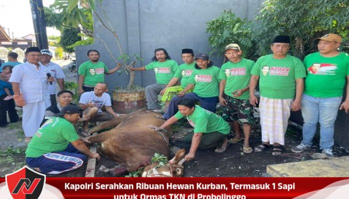 Kapolri Serahkan Ribuan Hewan Kurban, Termasuk 1 Sapi untuk Ormas TKN di Probolinggo