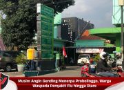 Musim Angin Gending Menerpa Probolinggo, Warga Waspada Penyakit Flu hingga Diare