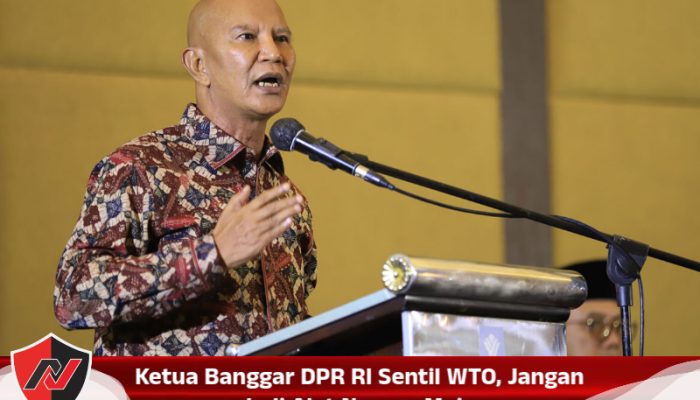 Ketua Banggar DPR RI Sentil WTO, Jangan Jadi Alat Negara Maju