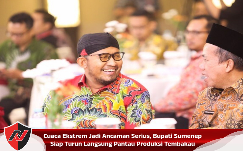 Cuaca Ekstrem Jadi Ancaman Serius, Bupati Sumenep Siap Turun Langsung Pantau Produksi Tembakau