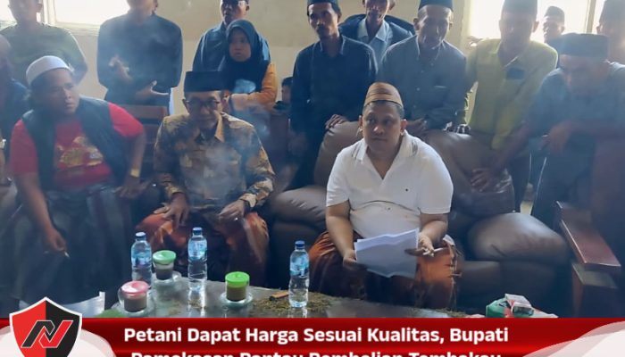 Petani Dapat Harga Sesuai Kualitas, Bupati Pamekasan Pantau Pembelian Tembakau