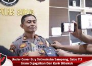Under Cover Buy Satreskoba Sampang, Sabu 112 Gram Digagalkan Dan Kurir Dibekuk