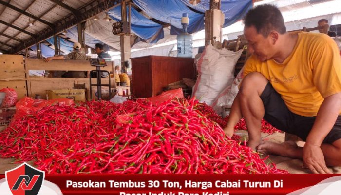 Pasokan Tembus 30 Ton, Harga Cabai Turun Di Pasar Induk Pare Kediri