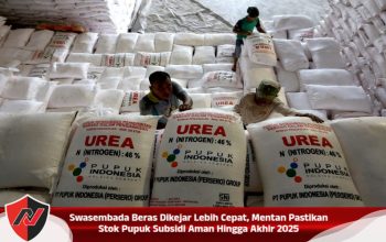 Swasembada Beras Dikejar Lebih Cepat, Mentan Pastikan Stok Pupuk Subsidi Aman Hingga Akhir 2025