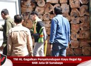 TNI AL Gagalkan Penyelundupan Kayu Ilegal Rp 646 Juta Di Surabaya