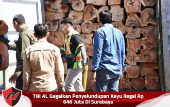 TNI AL Gagalkan Penyelundupan Kayu Ilegal Rp 646 Juta Di Surabaya