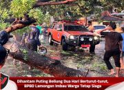 Dihantam Puting Beliung Dua Hari Berturut-turut, BPBD Lamongan Imbau Warga Tetap Siaga