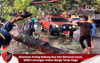 Dihantam Puting Beliung Dua Hari Berturut-turut, BPBD Lamongan Imbau Warga Tetap Siaga