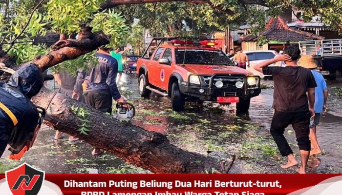 Dihantam Puting Beliung Dua Hari Berturut-turut, BPBD Lamongan Imbau Warga Tetap Siaga