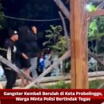 Gangster Kembali Berulah di Kota Probolinggo, Warga Minta Polisi Bertindak Tegas