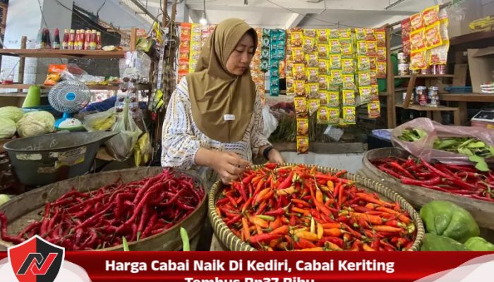 Harga Cabai Naik di Kediri, Cabai Keriting Tembus Rp37 Ribu