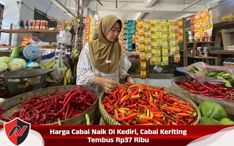 Harga Cabai Naik di Kediri, Cabai Keriting Tembus Rp37 Ribu