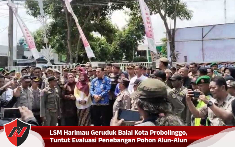 LSM Harimau Geruduk Balai Kota Probolinggo, Tuntut Evaluasi Penebangan Pohon Alun-Alun LSM Harimau Geruduk Balai Kota Probolinggo, Tuntut Evaluasi Penebangan Pohon Alun-Alun