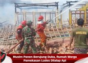 Musim Panen Berujung Duka, Rumah Warga Pamekasan Ludes Dilalap Api
