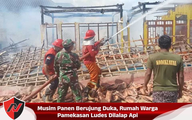 Musim Panen Berujung Duka, Rumah Warga Pamekasan Ludes Dilalap Api