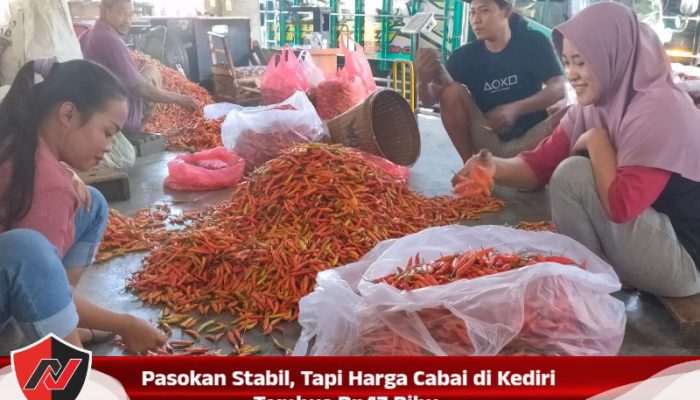 Pasokan Stabil, Tapi Harga Cabai di Kediri Tembus Rp47 Ribu