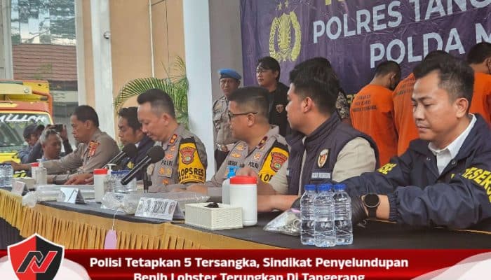Polisi Tetapkan 5 Tersangka, Sindikat Penyelundupan Benih Lobster Terungkap Di Tangerang