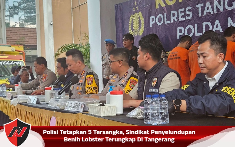 Polisi Tetapkan 5 Tersangka, Sindikat Penyelundupan Benih Lobster Terungkap Di Tangerang