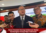 Rosan Roeslani Dorong Kolaborasi Global Kembangkan Energi Hijau Indonesia