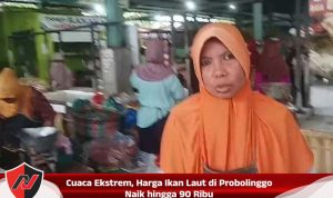 Cuaca Ekstrem, Harga Ikan Laut di Probolinggo Naik hingga 90 Ribu Cuaca Ekstrem, Harga Ikan Laut di Probolinggo Naik hingga 90 Ribu