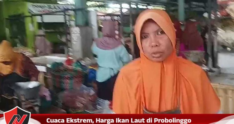 Cuaca Ekstrem, Harga Ikan Laut di Probolinggo Naik hingga 90 Ribu