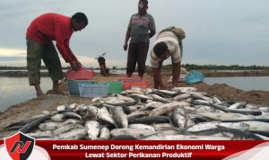 Pemkab Sumenep Dorong Kemandirian Ekonomi Warga Lewat Sektor Perikanan Produktif Pemkab Sumenep Dorong Kemandirian Ekonomi Warga Lewat Sektor Perikanan Produktif