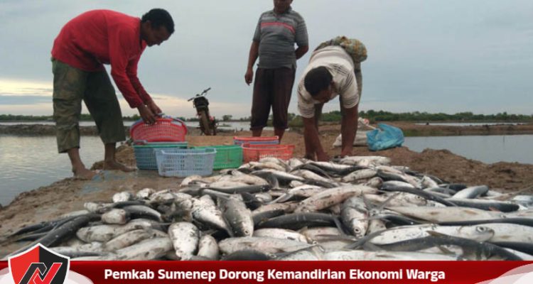 Pemkab Sumenep Dorong Kemandirian Ekonomi Warga Lewat Sektor Perikanan Produktif