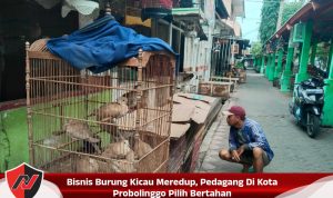 Bisnis Burung Kicau Meredup, Pedagang Di Kota Probolinggo Pilih Bertahan Bisnis Burung Kicau Meredup, Pedagang Di Kota Probolinggo Pilih Bertahan