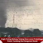 Angin Puting Beliung Terjang Desa Leces Probolinggo, Pohon Tumbang Dan Bangunan Rusak