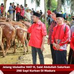 Jelang Iduladha 1447 H, Said Abdullah Salurkan 298 Sapi Kurban Di Madura