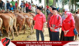 Jelang Iduladha 1447 H, Said Abdullah Salurkan 298 Sapi Kurban Di Madura